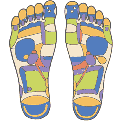 Reflexology foot diagram.