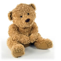 Photograph of a childs teddy.